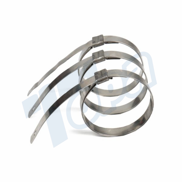 band hose clamp Topa manufacturer