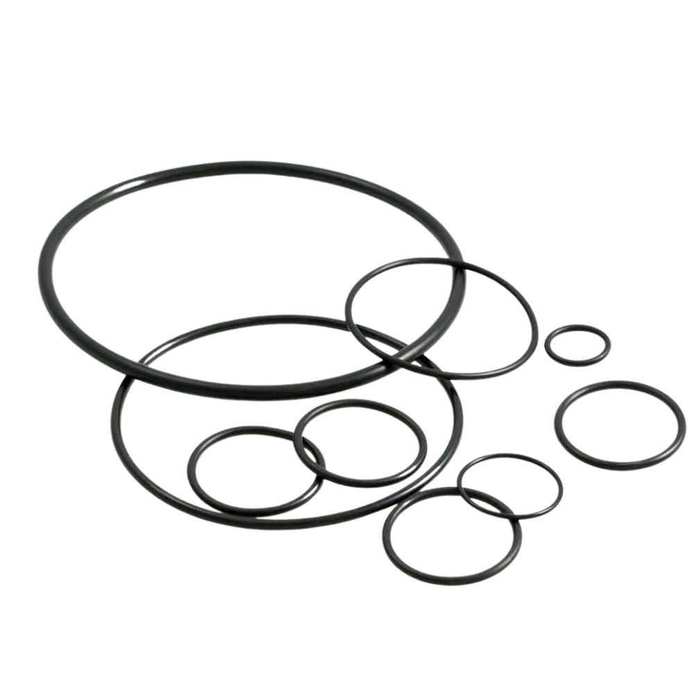 neoprene o rings supplier China