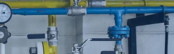 What is FIP Thread: The Comprehensive Guide - Topa