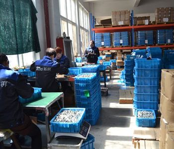 DOT air line connectors manufacturer Assemble in China