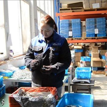 beaded hose China manufacturer check one by one