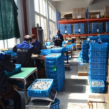hydraulic O-ring fitting manufacturer Assemble in China